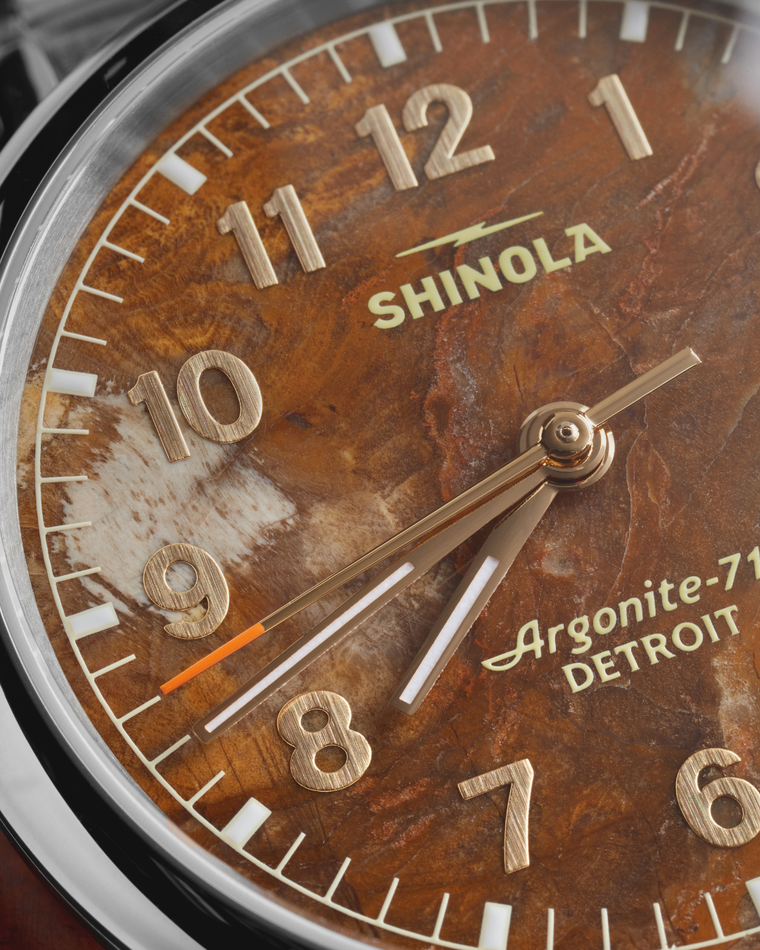 Vinton Watch - Petrified Wood - Image 9