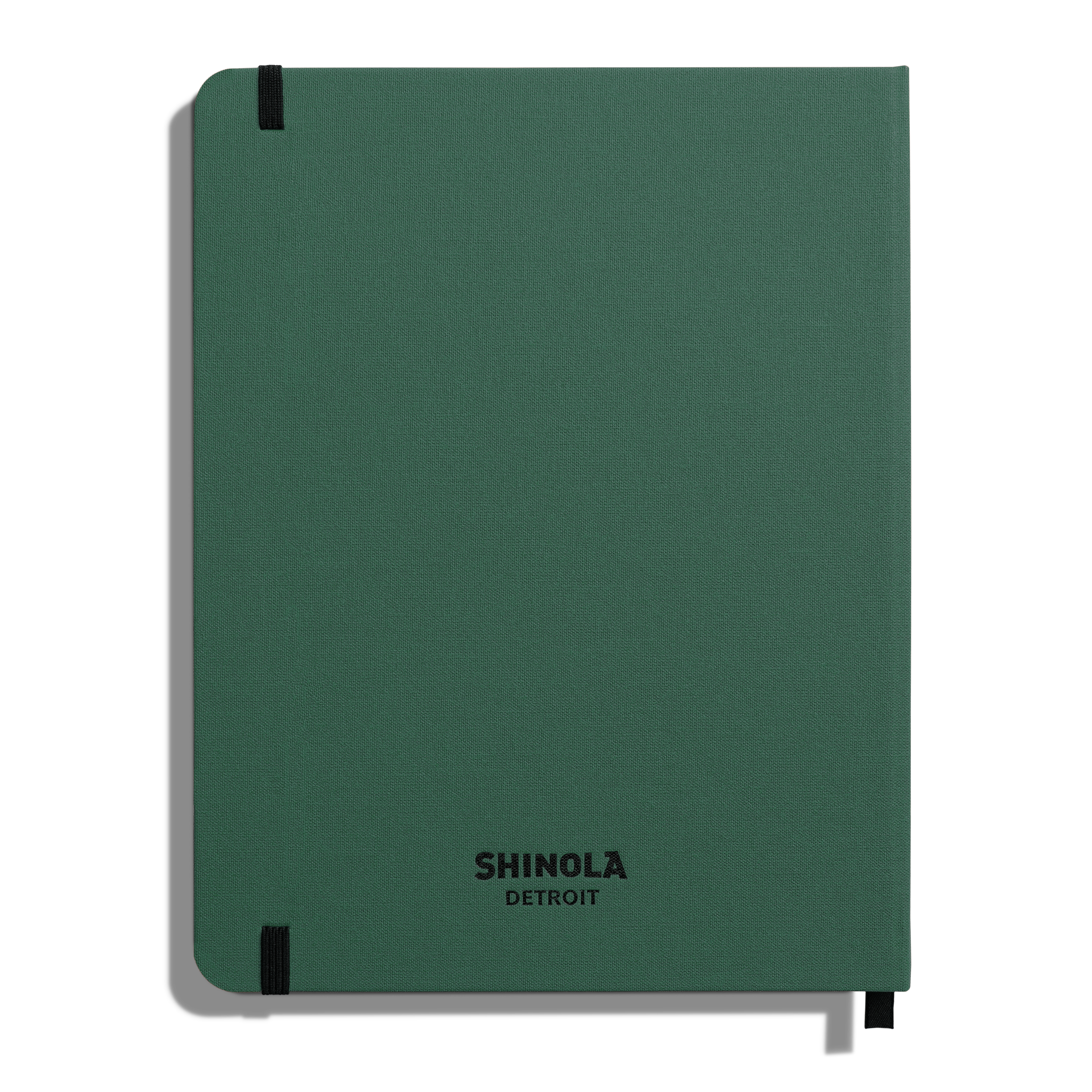 Large Hard Ruled Journal - Fern - Image 2