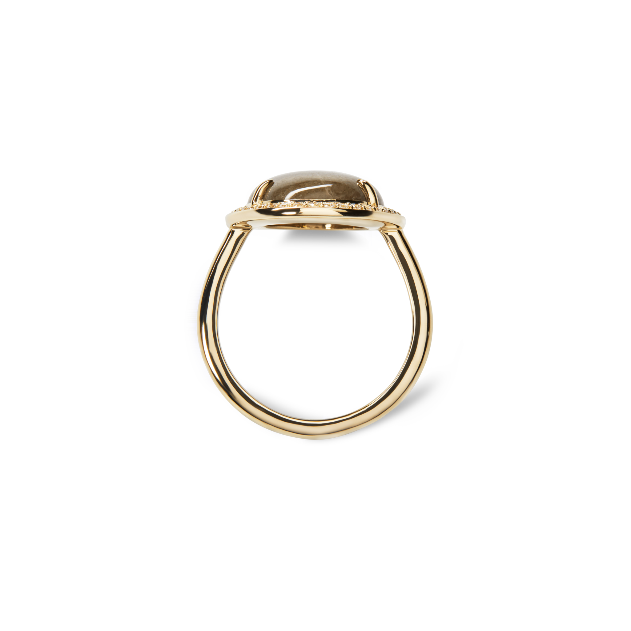 Diamond Pave Oval Petoskey Ring - Yellow Gold - Image 2