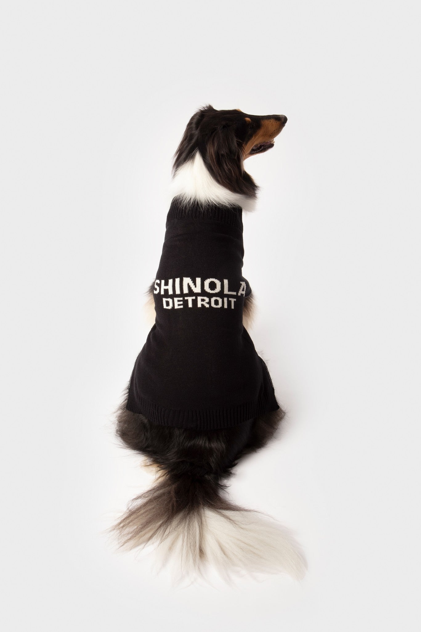 Dog Sweater - Black - Image 2